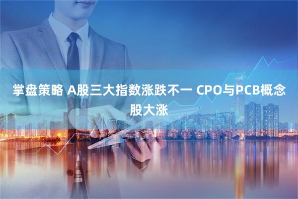 掌盘策略 A股三大指数涨跌不一 CPO与PCB概念股大涨